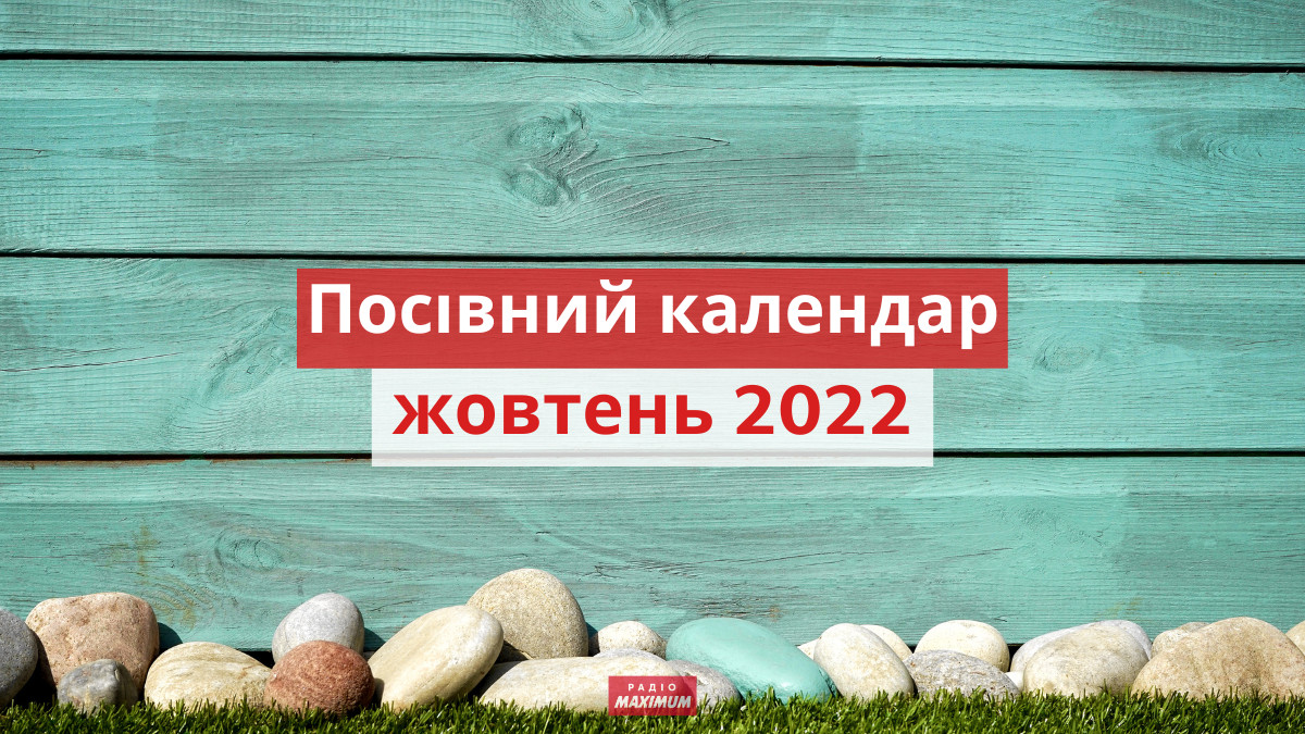 Посівний календар для городника на жовтень 2022 - фото 1