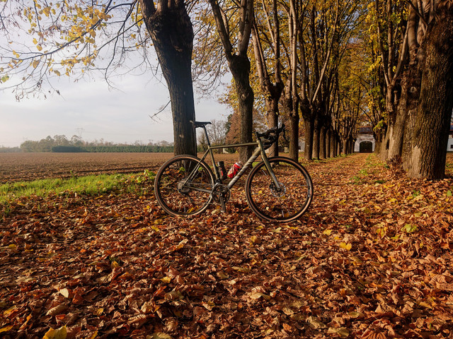 Michael Tabolsky on Unsplash - фото 514179