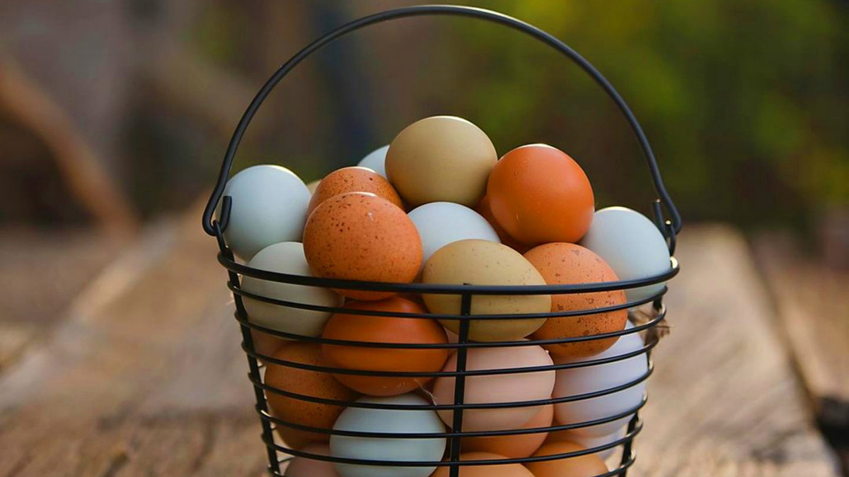 Чому яйця такі дорогі й що буде надалі з цінами: відповідь експерта - фото 1