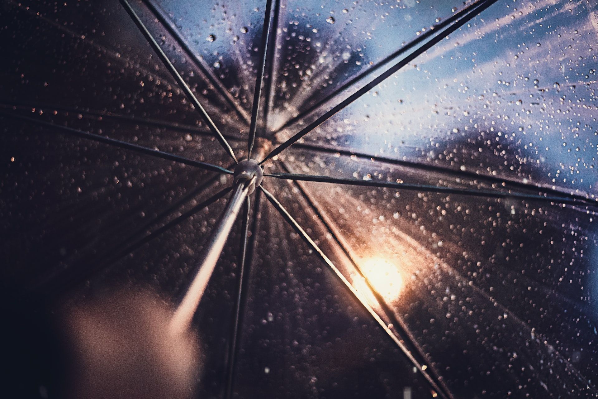 Дощі та рвучкий вітер: якою буде погода в Україні 25 жовтня