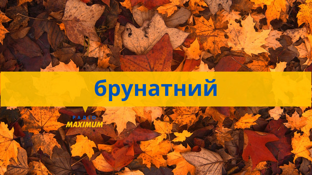 Говори красиво: 10 красивих українських слів, які описують осінь - фото 514775