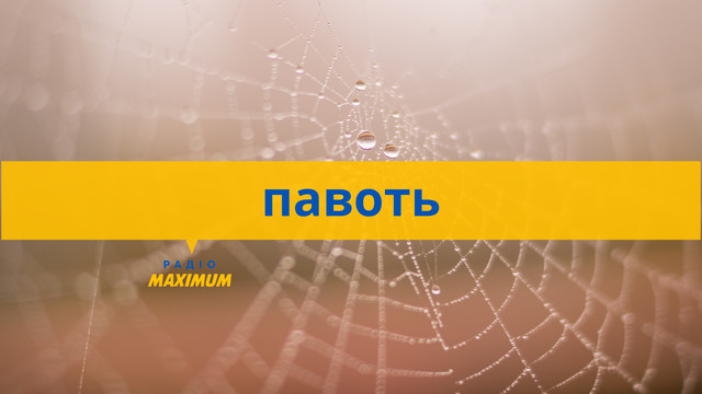 Говори красиво: 10 красивих українських слів, які описують осінь - фото 514783