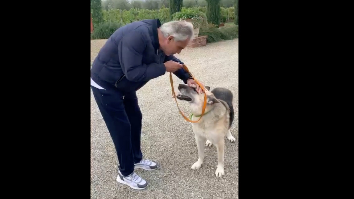 Врятований пес Джек із Куп'янська житиме в Італії: його прихистила сім'я відомого тенора - фото 1
