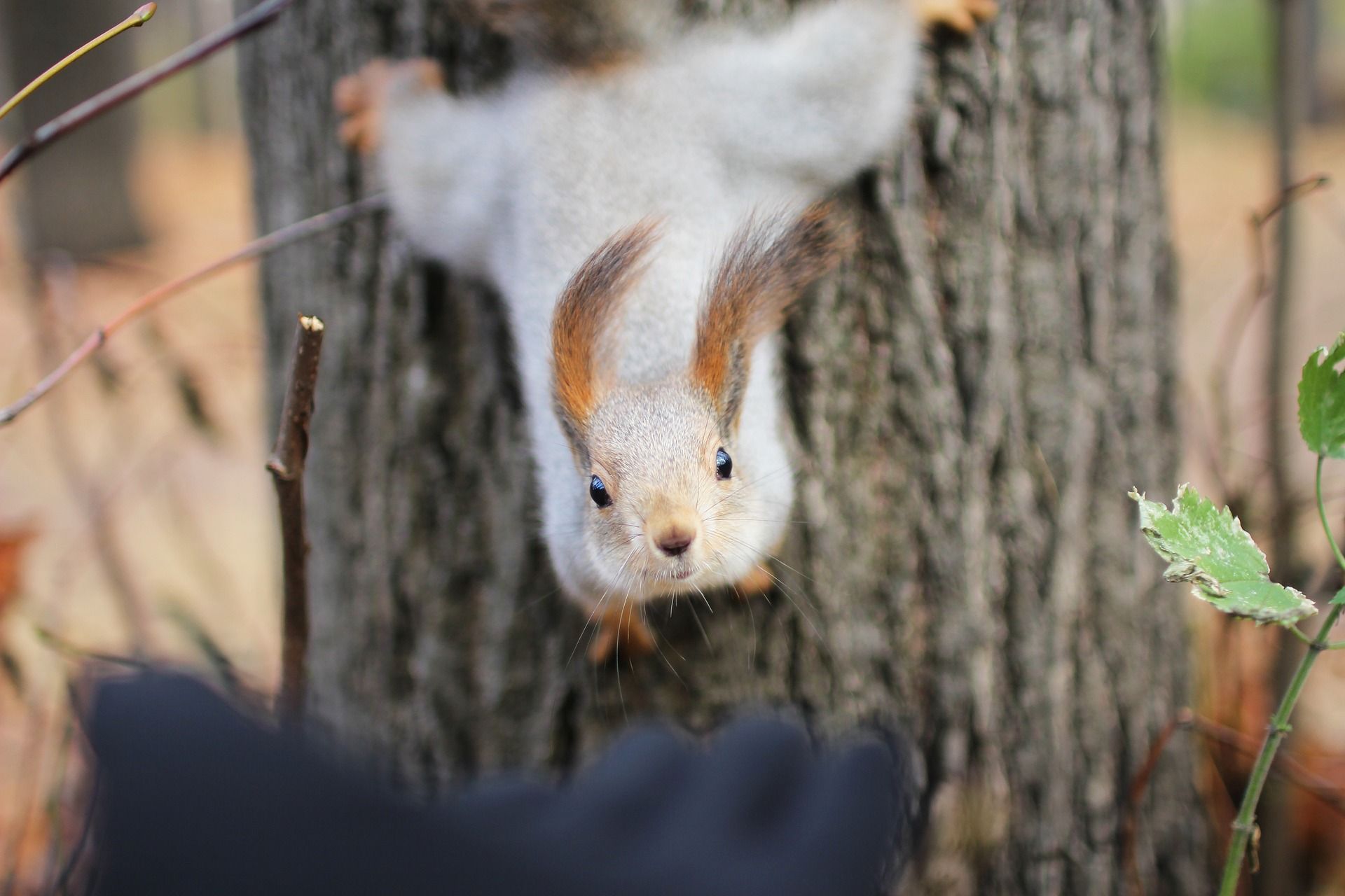Погода в Україні 10 листопада: синоптик розповіла, коли прийде похолодання