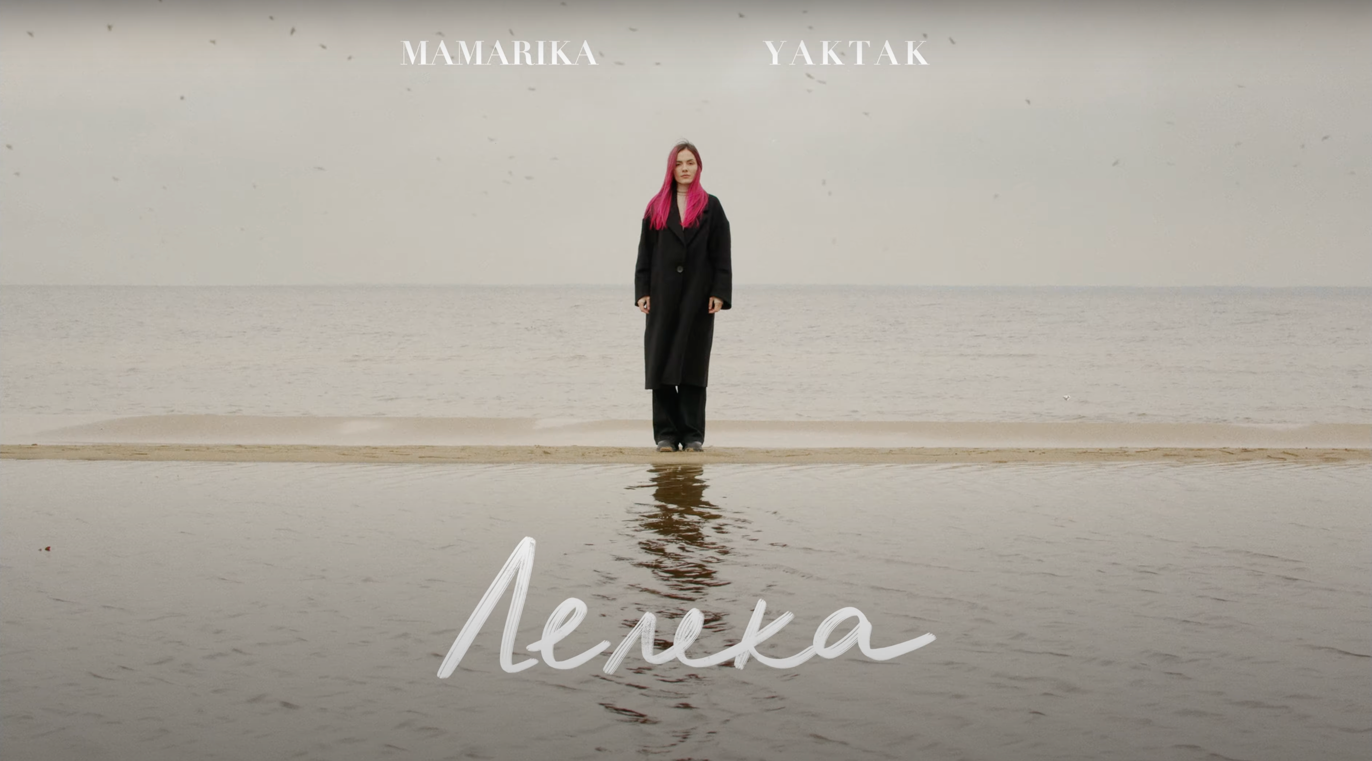 Лелеки: музична прем'єра від MamaRika і YAKTAK про тих, хто змушений покидати свій дім - фото 1