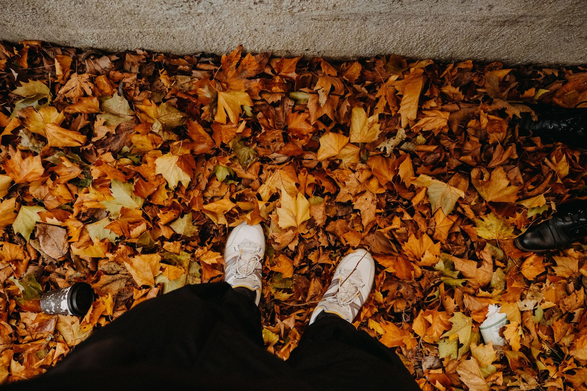 Погода в Україні 15 листопада: синоптик попередила про серйозне похолодання