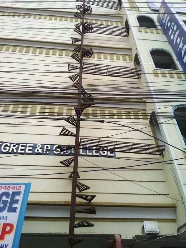 Robert Pelletier - фото 515945