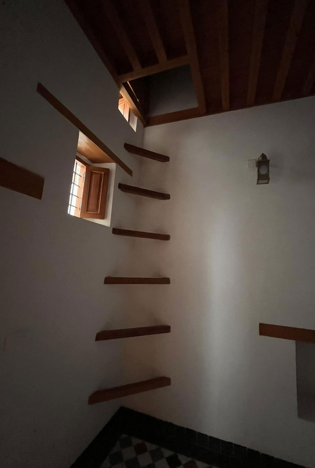 Eduarda Azevedo - фото 515956