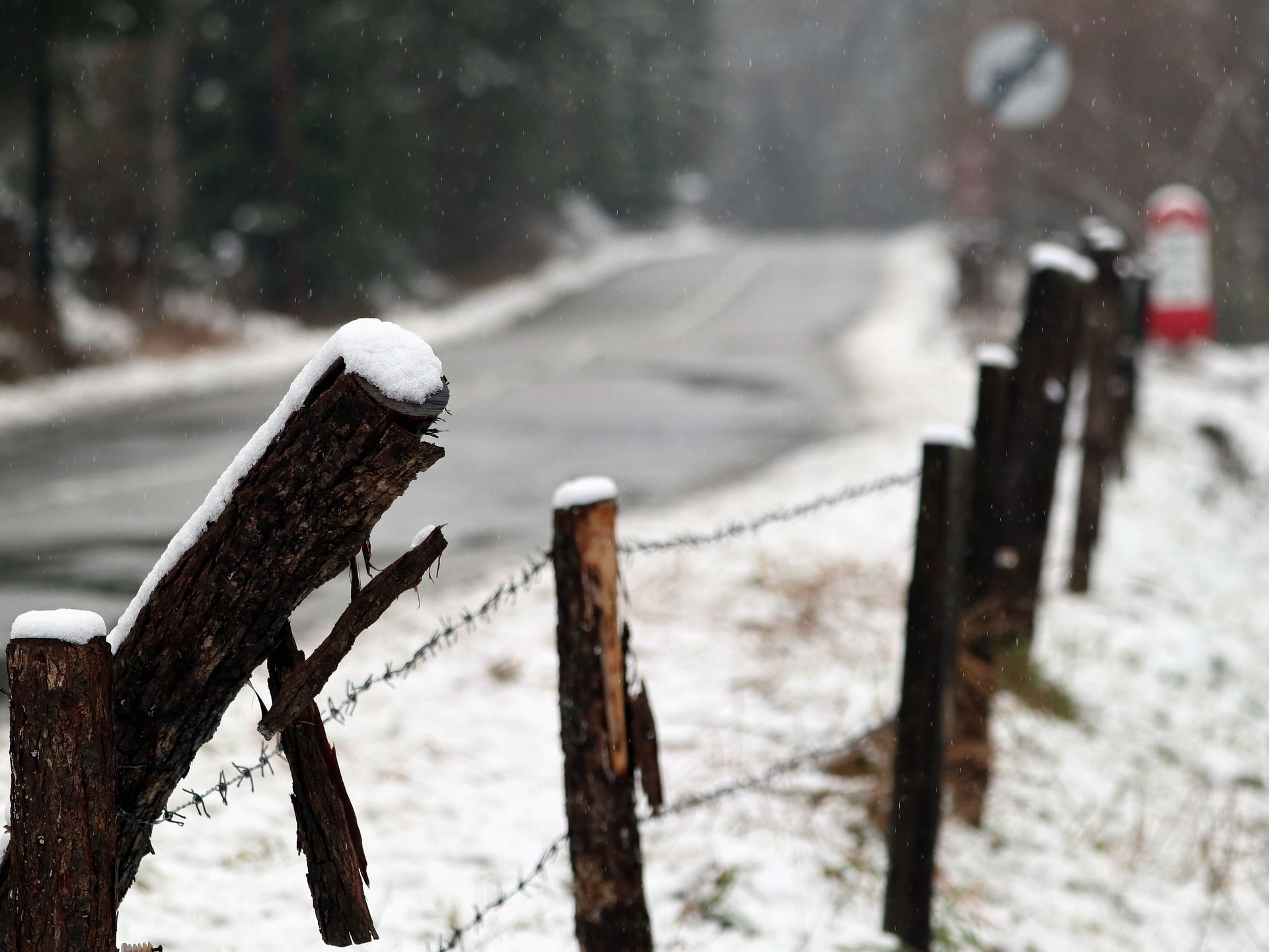 Погода на 23 листопада в Україні: синоптик розповіла, яка негода насувається