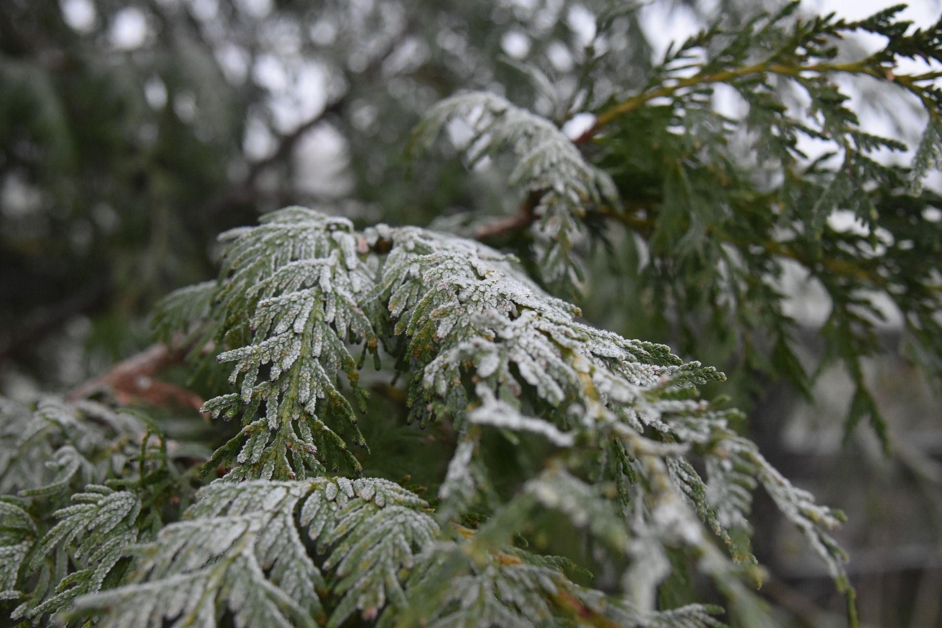 Погода 18 грудня в Україні: передбачається мороз і ожеледиця