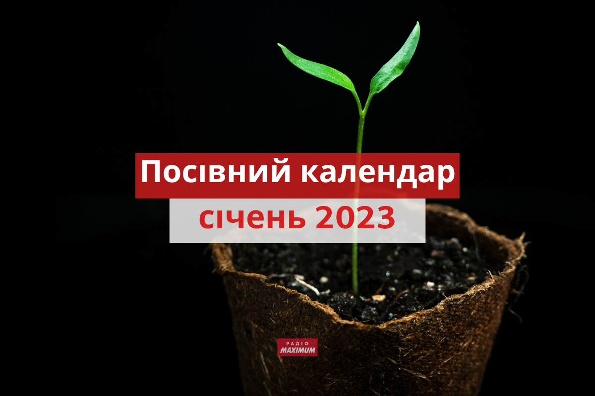 Місячний посівний календар на січень 2023: коли і що садити