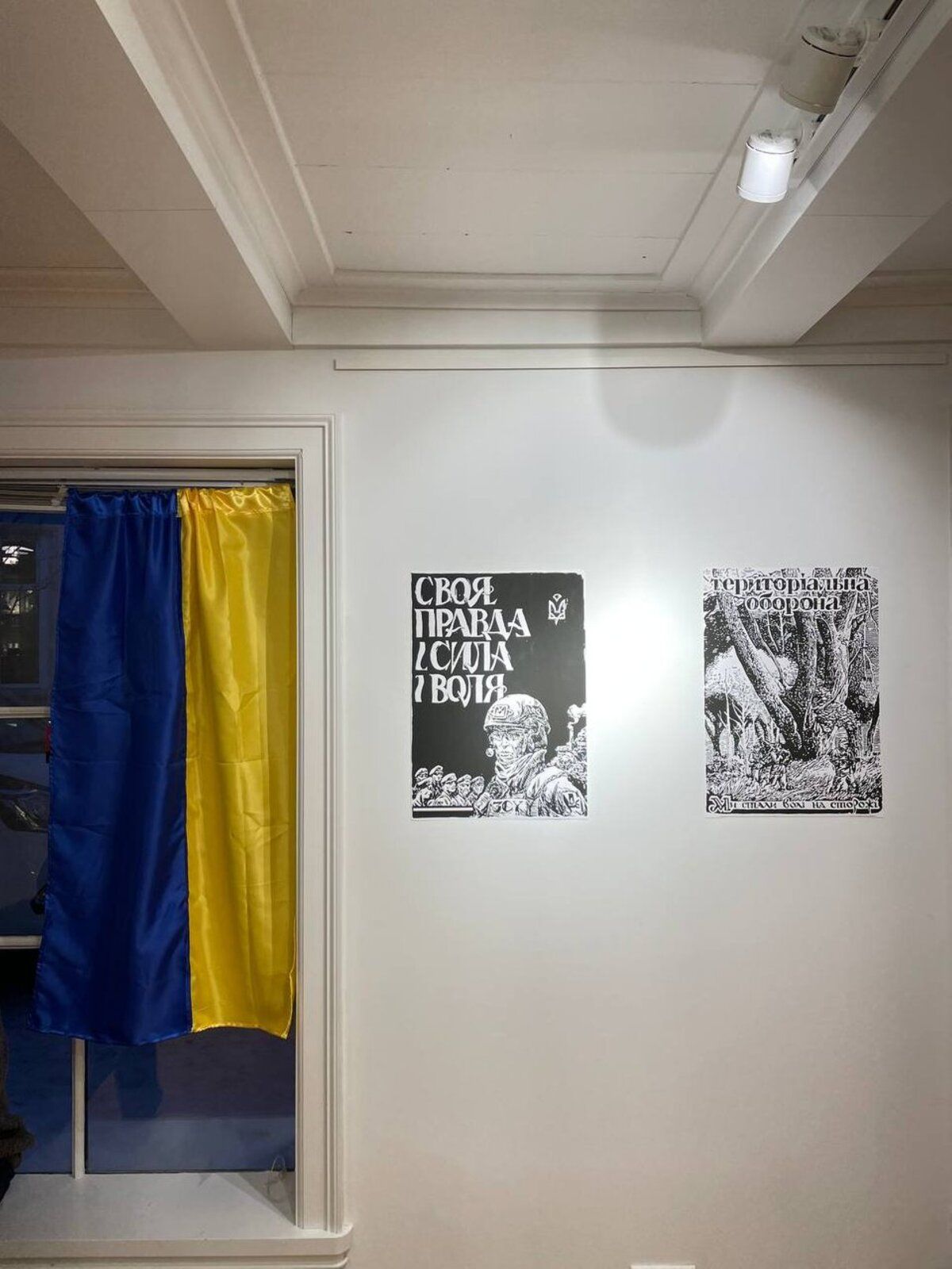 У столиці Ісландії відкрили виставку постерів українських митців про війну в Україні