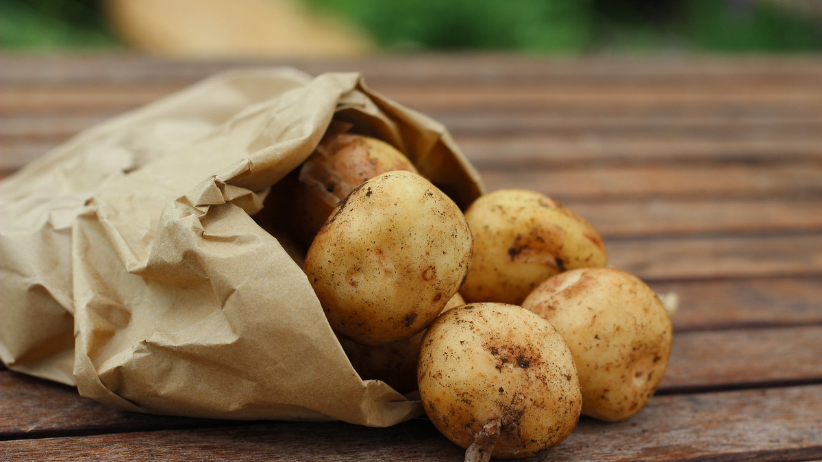 Україна входить у світові лідери споживачів картоплі - фото 1