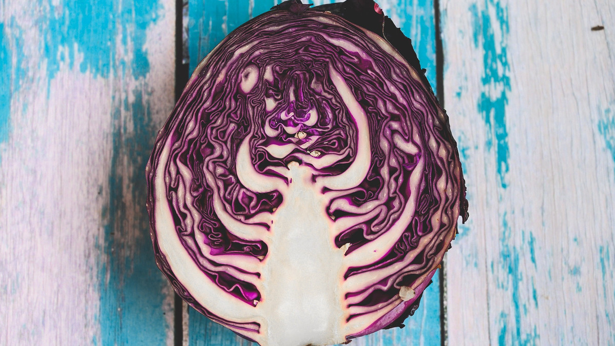 Маринована фіолетова капуста – Володимир Ярославський поділився перевіреним рецептом - фото 1