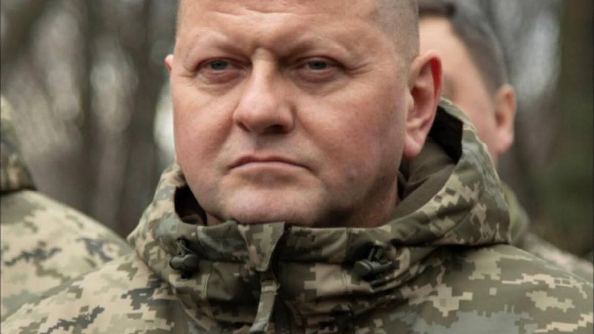 Головнокомандувач Збройних сил Валерій Залужний віддав свій спадок на ЗСУ - фото 1