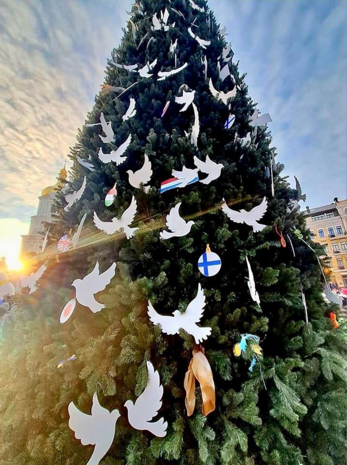 Київських голубів із 