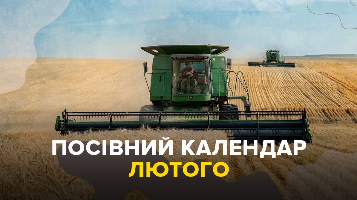 Місячний посівний календар на лютий 2023: коли і що садити
