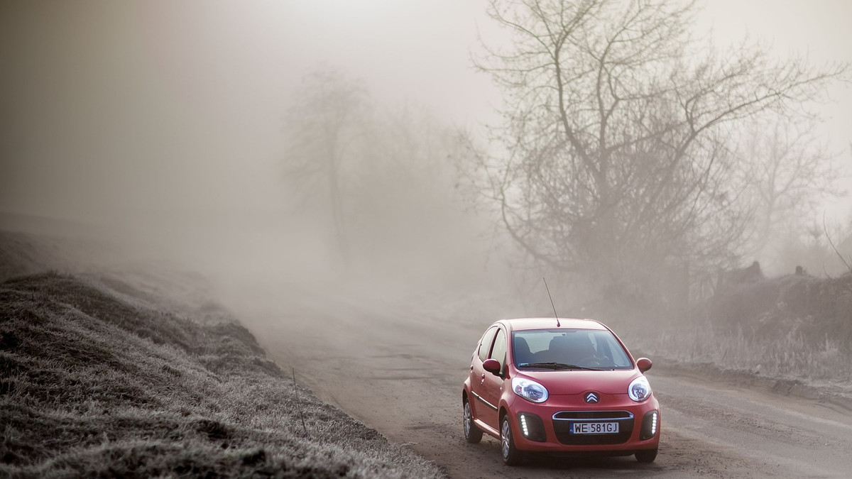 У ДСНС розповіли, що робити водіям під час туману, щоб не наражатися на небезпеку - фото 1