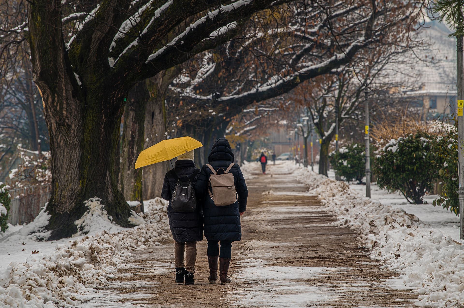 Погода 13 лютого в Україні – синоптикиня розповіла, яким буде понеділок