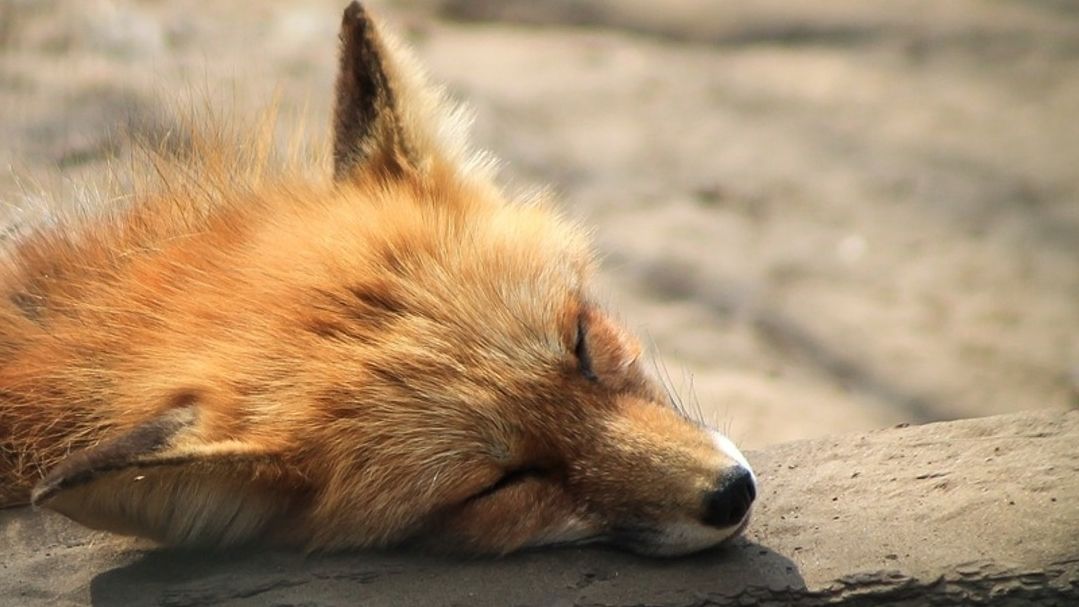 Що робити, коли особистий ресурс на нулі – відповідь експертів