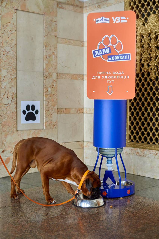 Фото: Укрзалізниця - фото 519927