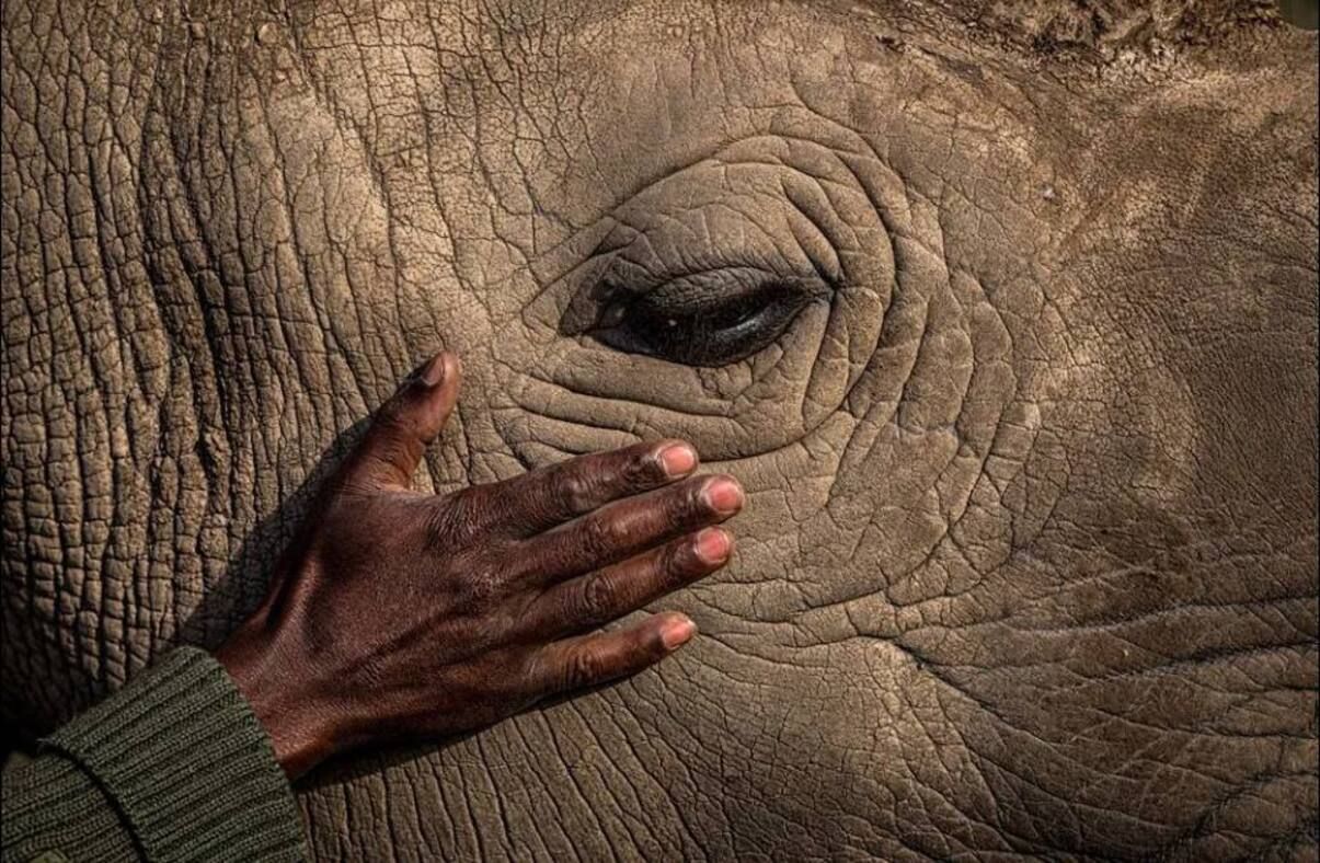 Ось це фото переможця конкурсу Travel Photographer of the Year 2022