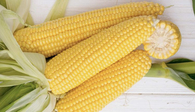 Солодка кукурудза сорту Джульєтта - фото 520138