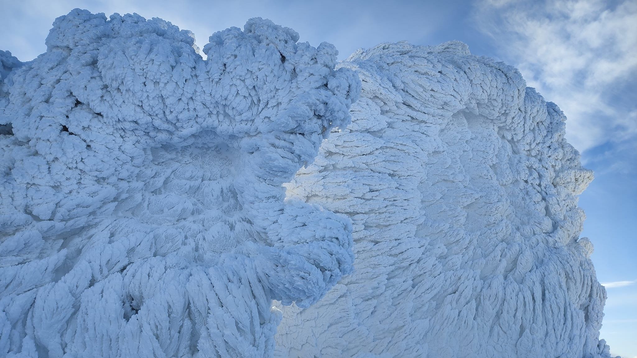 Фото: Vasyl Fitsak - фото 1