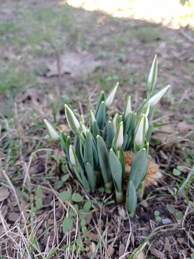 Фото: Миколаївський зоопарк загальнодержавного значення- фото 520335