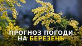 Погода у березні 2023 в Україні – прогноз синоптиків на місяць