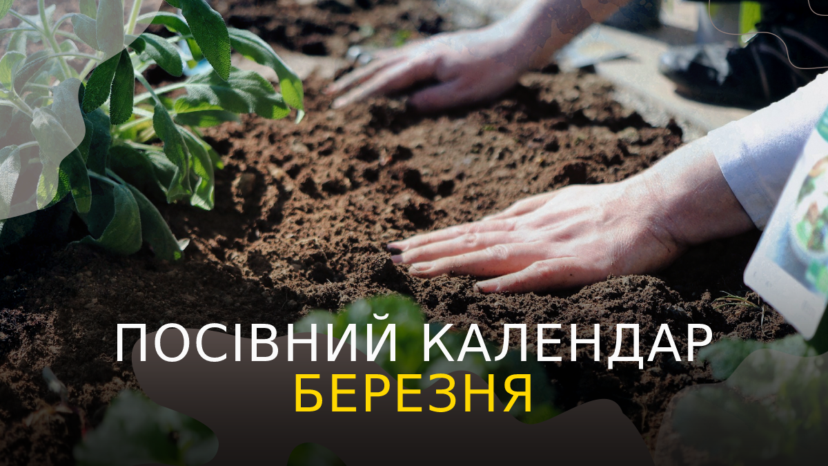 Місячний посівний календар на березень 2023 – коли і що садити