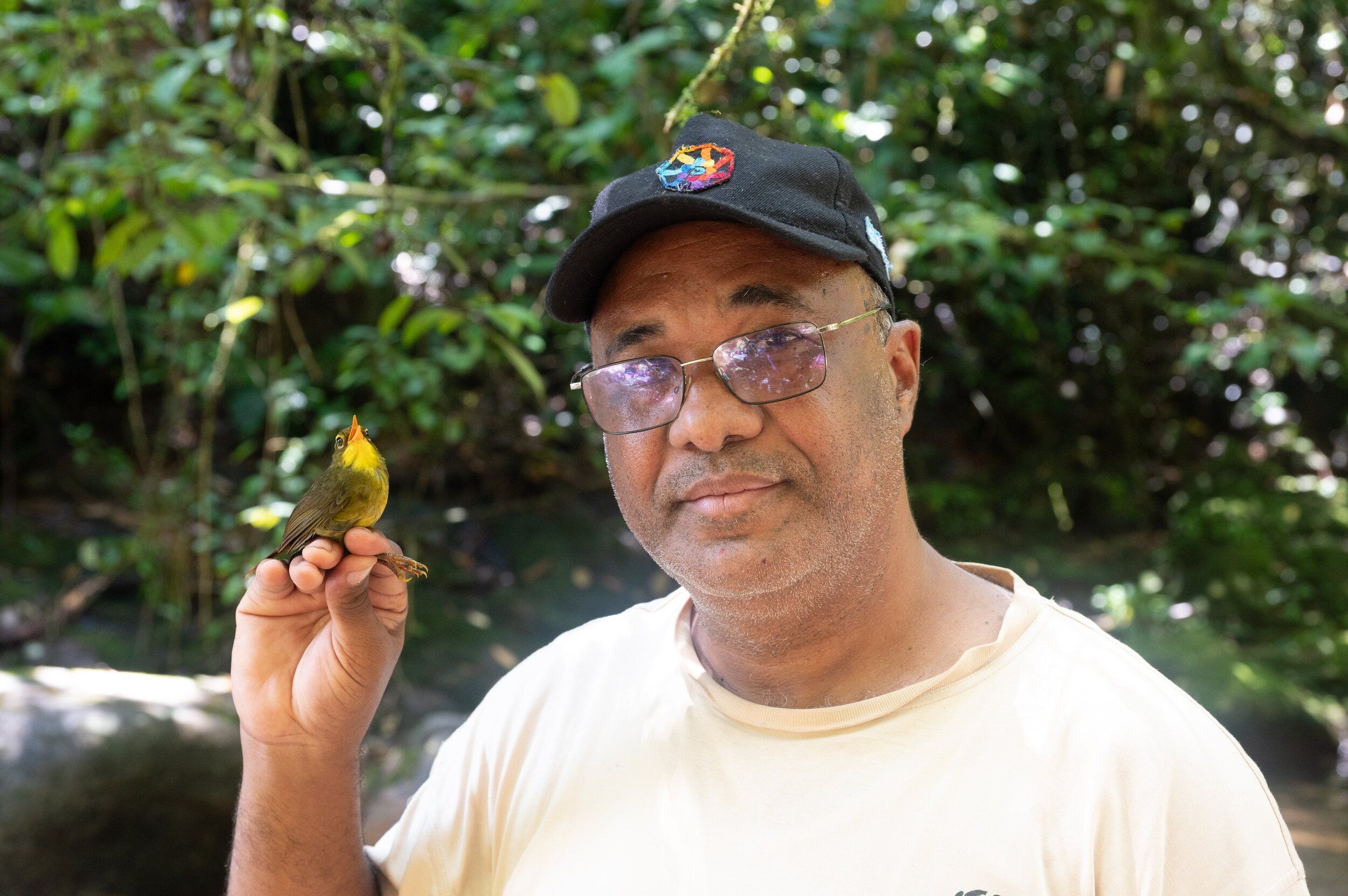 На Мадагаскарі помітили птаха, якого вважали вимерлим впродовж 24 років