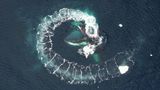 Українські вчені почали досліджувати китів за допомогою дронів і показали неймовірні фото