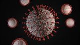 Пандемія COVID-19 закінчиться цього року – генеральний директор ВООЗ