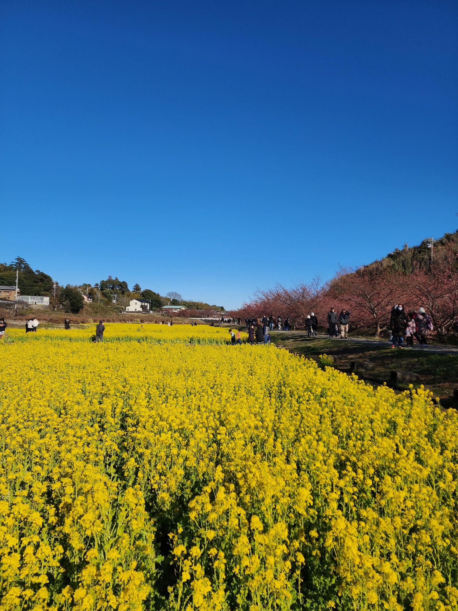 Зворушливі листи з Японії – щомісяця японець донатить на перемогу Україні