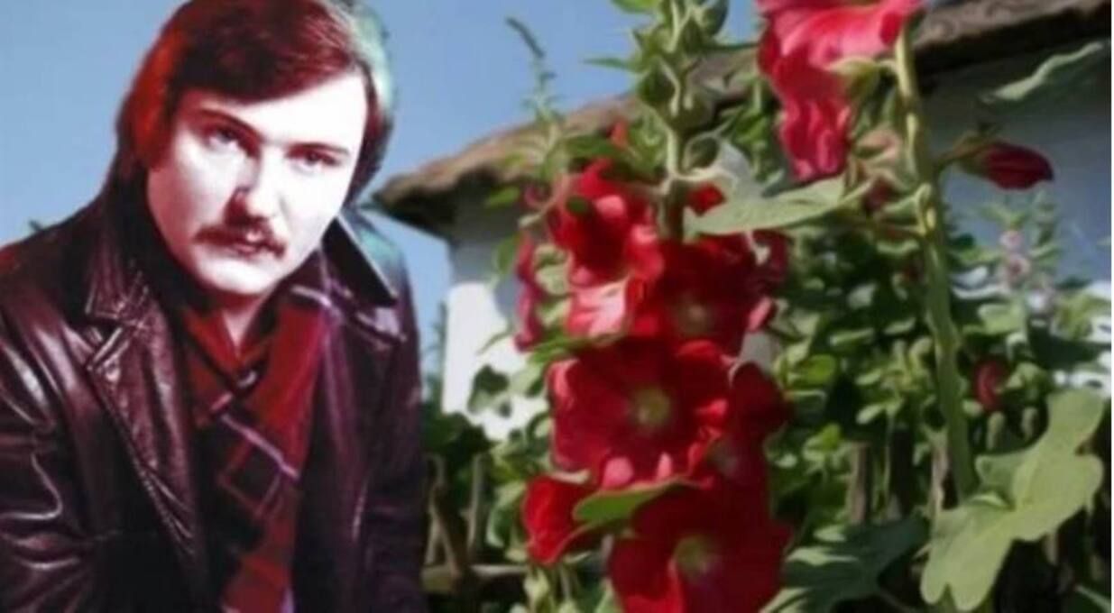 "Червону руту не шукай вечорами", бо вона пролунала в Неаполі – відео