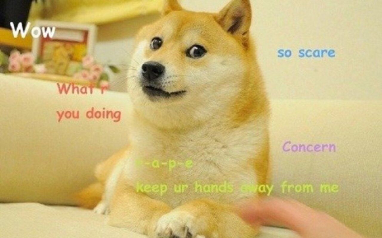 Twitter змінив логотип на собаку-мем Doge