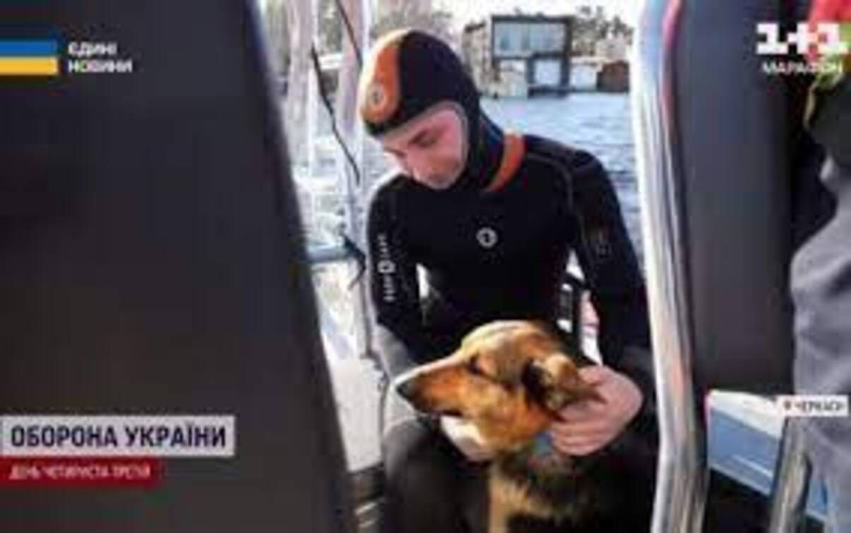 Єдина на всю Україну собака – ДСНС показала унікальну вівчарку-рятувальницю