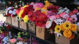 На Київщині заборонили використовувати штучні квіти на кладовищах
