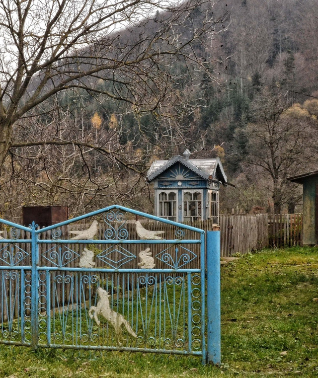 Проєкт 'Бабчин бучок' - фото 522628