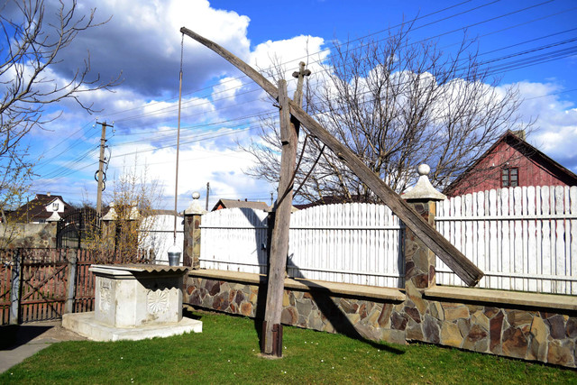 Проєкт 'Бабчин бучок' - фото 522629