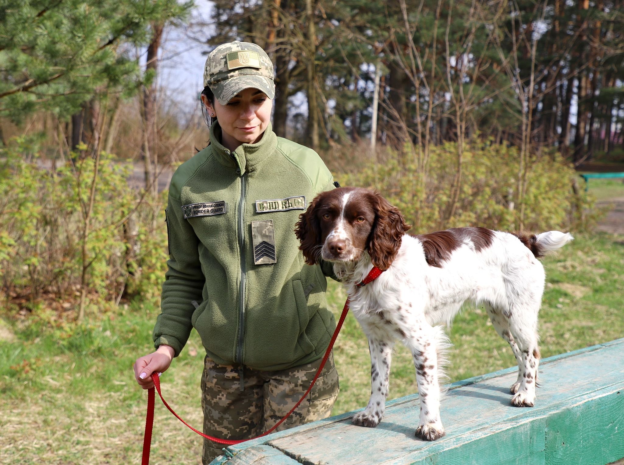 Коли служба в радість – ДПСУ показала чотирилапих захисників українського кордону