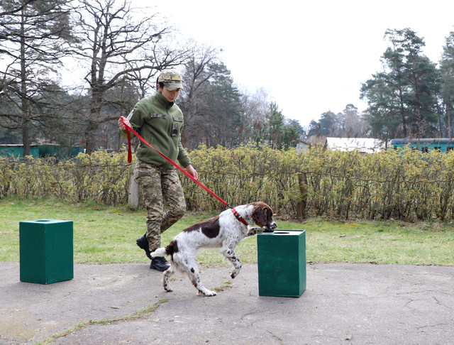 Фото: ДПСУ - фото 522727