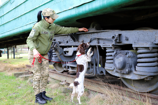 Фото: ДПСУ - фото 522728