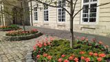 У Львові зацвіли нідерландські тюльпани, крокуси та гіацинти