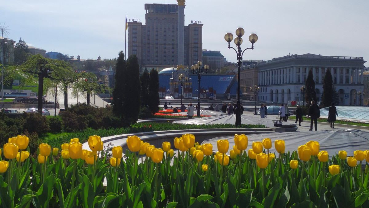 У Києві починають квітнути тюльпани - фото 1