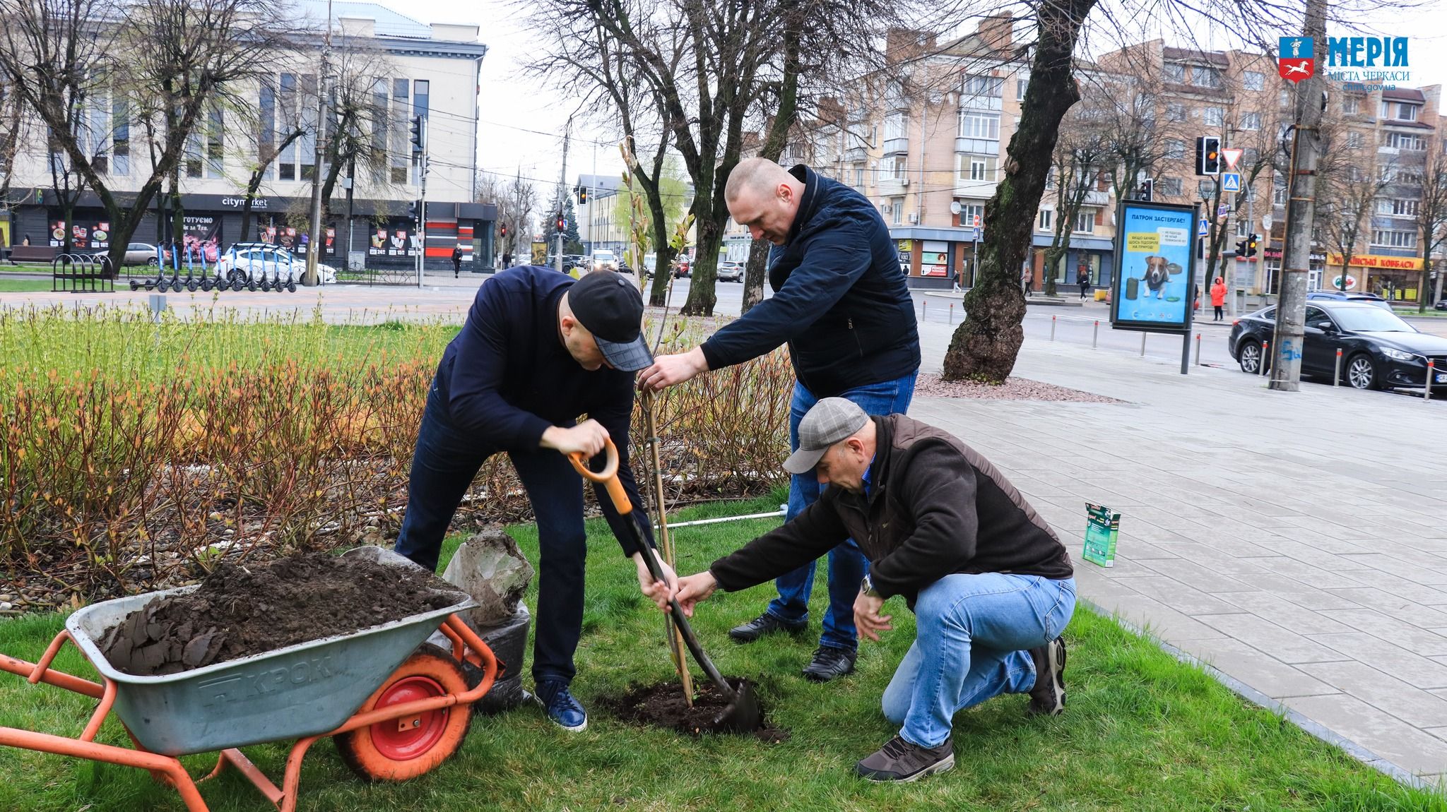 Висадка рослин у парку - фото 1