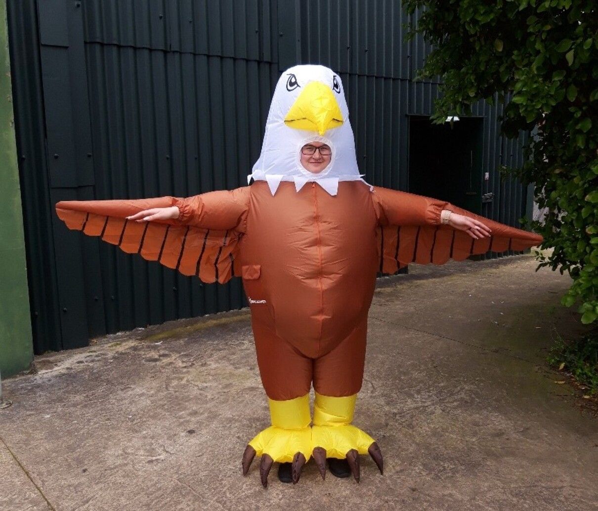 Британський зоопарк шукає працівників на посаду відлякувача чайок