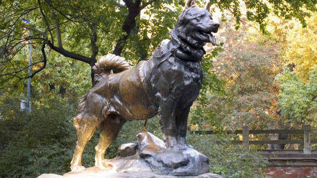 Пам'ятник Балто - фото 523759