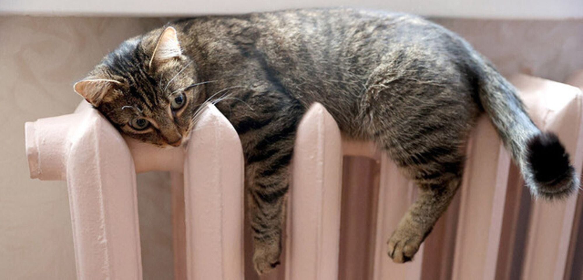 Перерахунок субсидій: хто має подати документи заново - фото 1